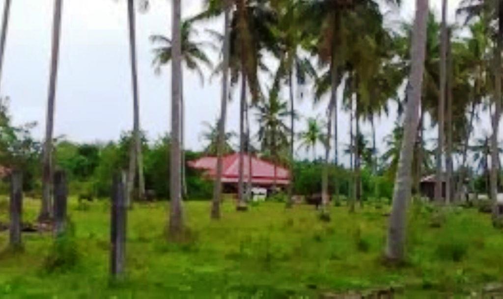 The Village Langkawi Pantai Cenang  Exteriör bild